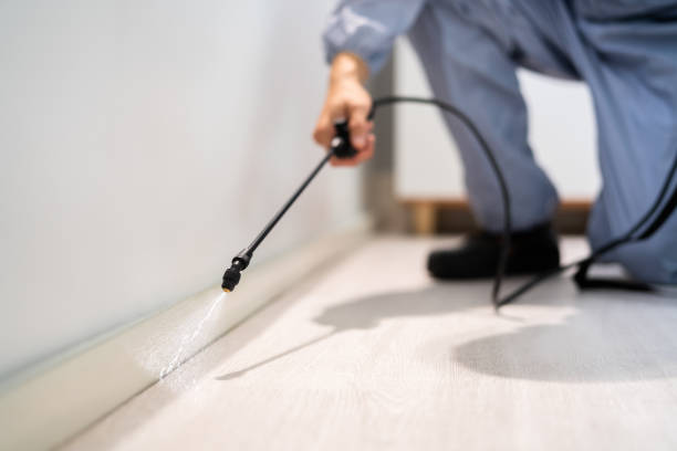 Licensed Pest Control service in Ruidoso Downs, NM - Show Me Pest Control